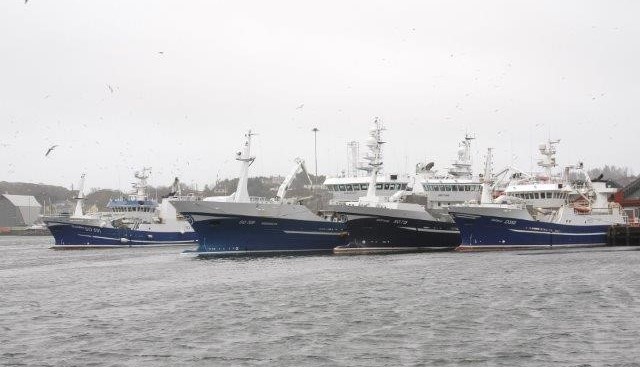 multiple trawlers berthed in sea port